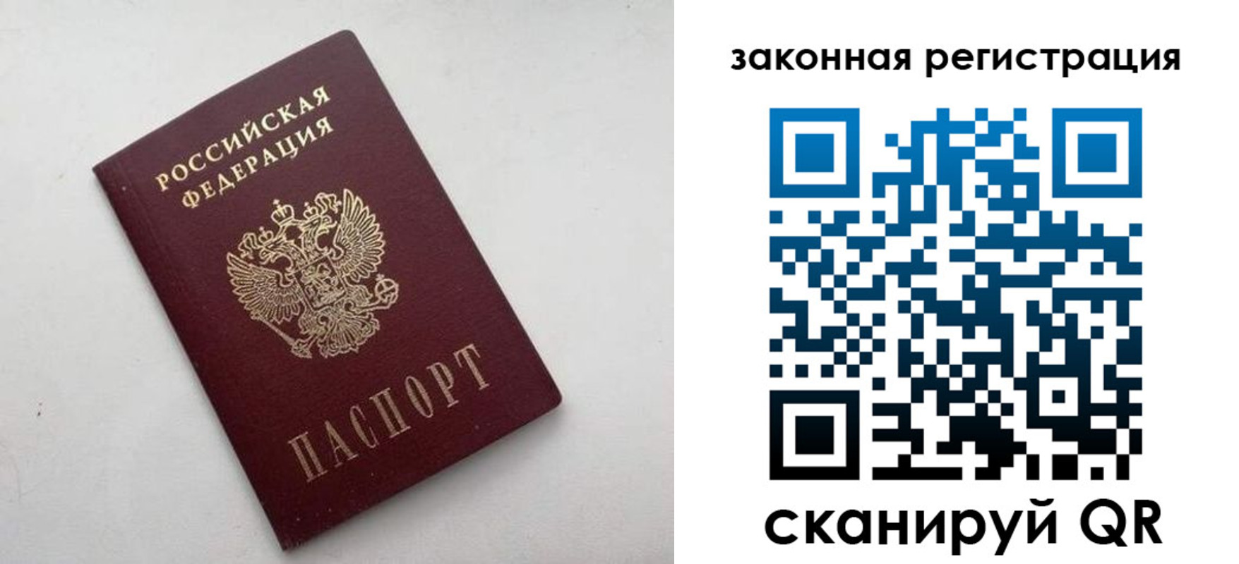 прописка 2025 в Невеле